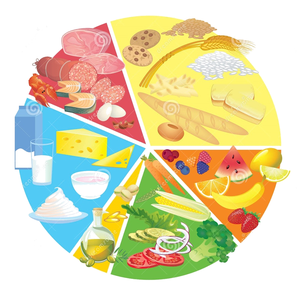 Nutrition